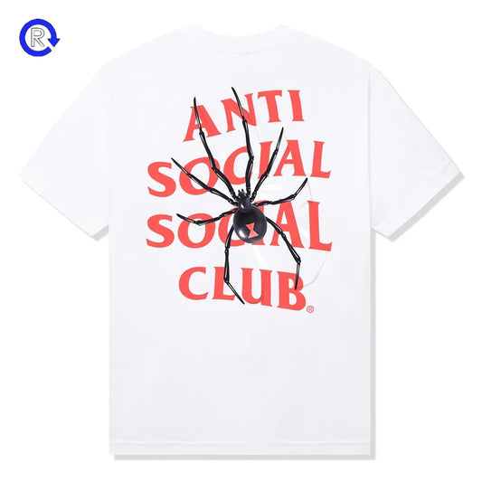 https://res.cloudinary.com/dyql5hig8/image/upload/v1760037872/y3evvj3kxeds55ye2eu9.jpg